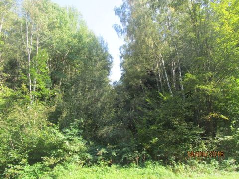 Foto 49
